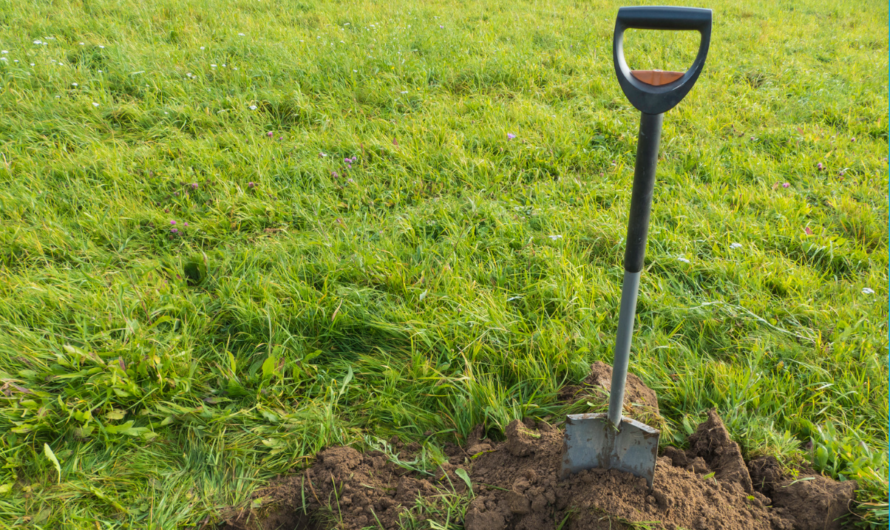 Een structurele oplossing realiseren voor de verenigingsinfrastructuur in deelgemeente Zoersel